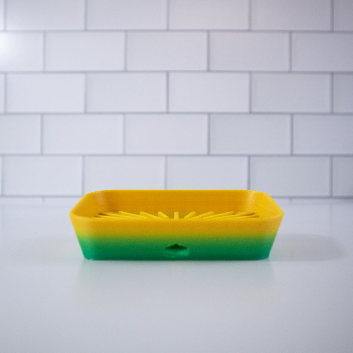 Soap Dish