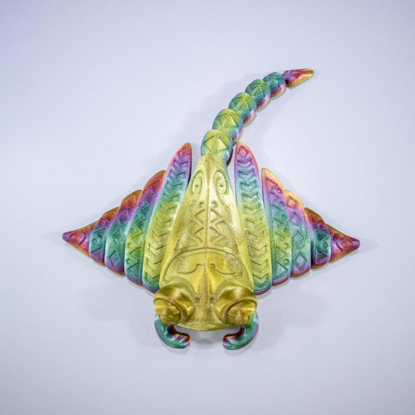 Magical Manta Ray