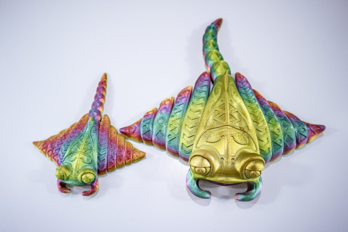 Magical Manta Ray