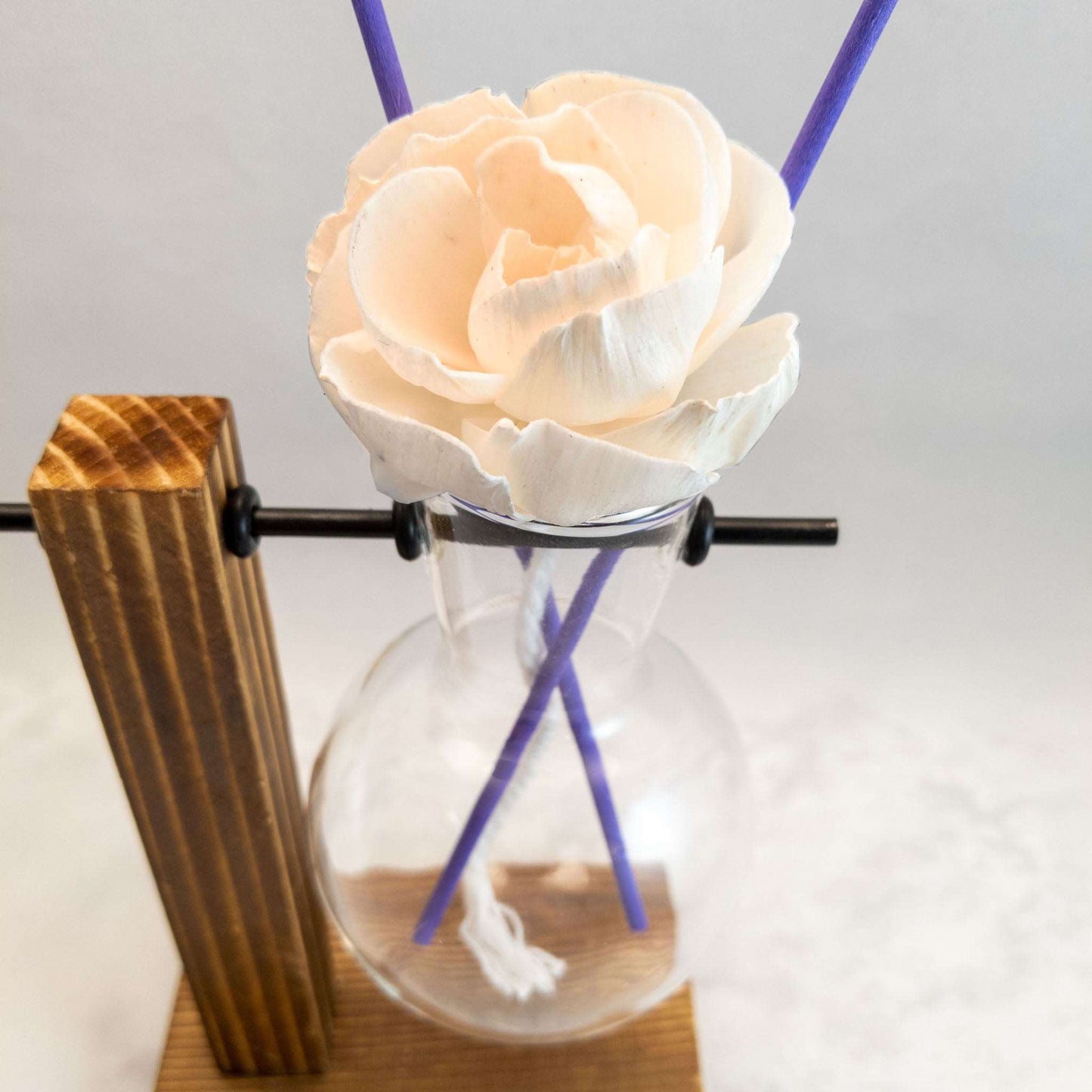 Reed Diffuser | Unique Hanging