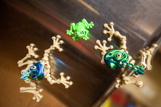 Tiny Frog, Big Charm: Magnetic 3D Printed Decor for Any Space